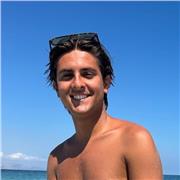 Lezioni di filosofia chiare ed efficaci su misura